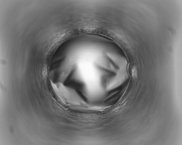 X0000090721299200708101545