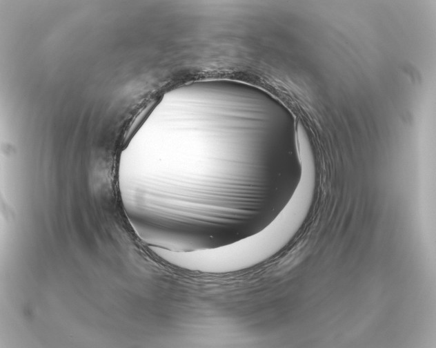 X0000090721300200708101545