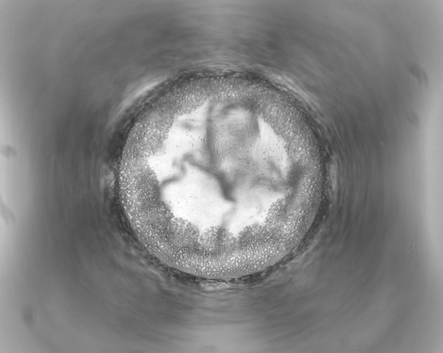 X0000090721302200708101545