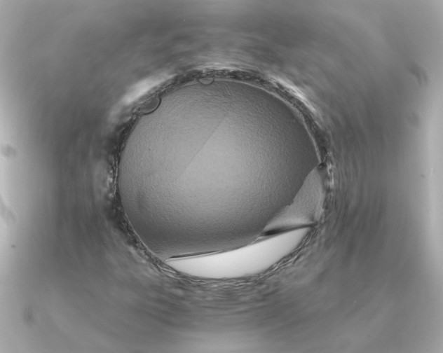 X0000090721303200708101545