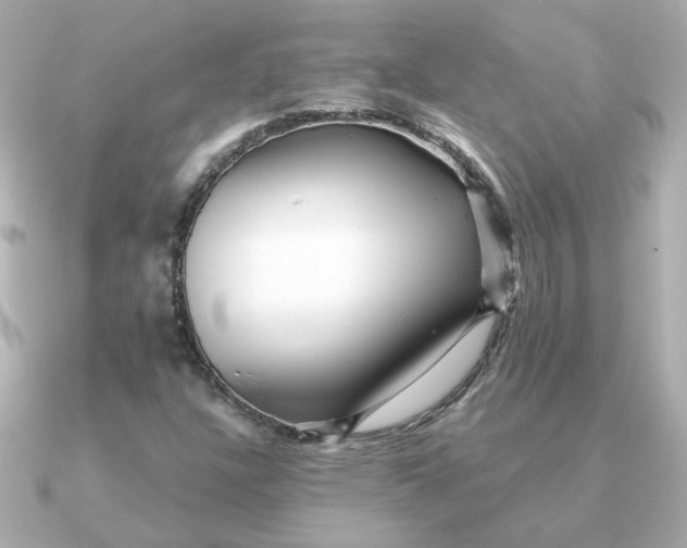 X0000090721304200708101545