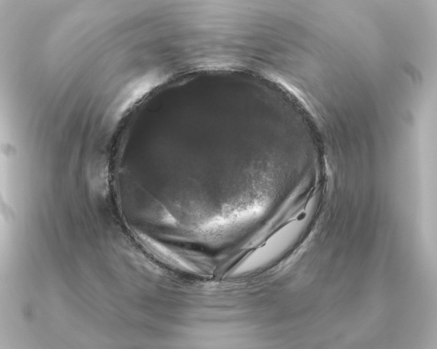 X0000090721306200708101545