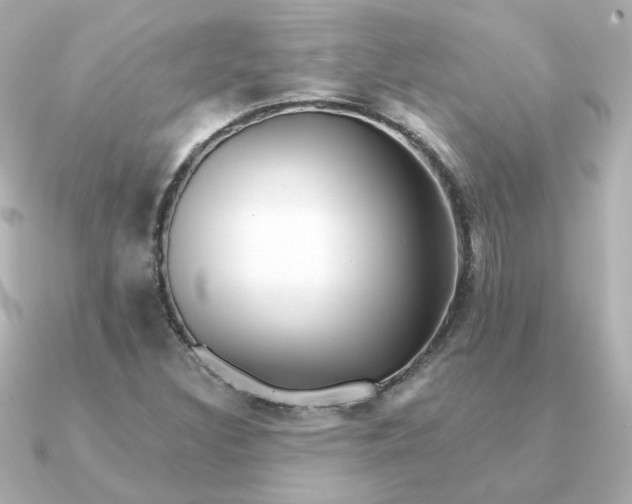 X0000090721308200708101545