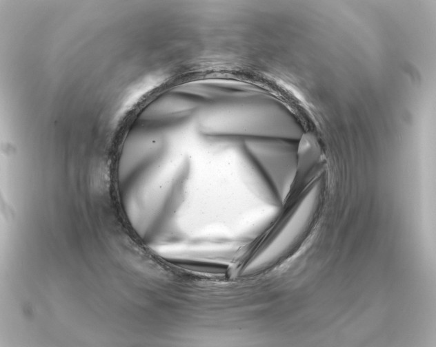 X0000090721309200708101545