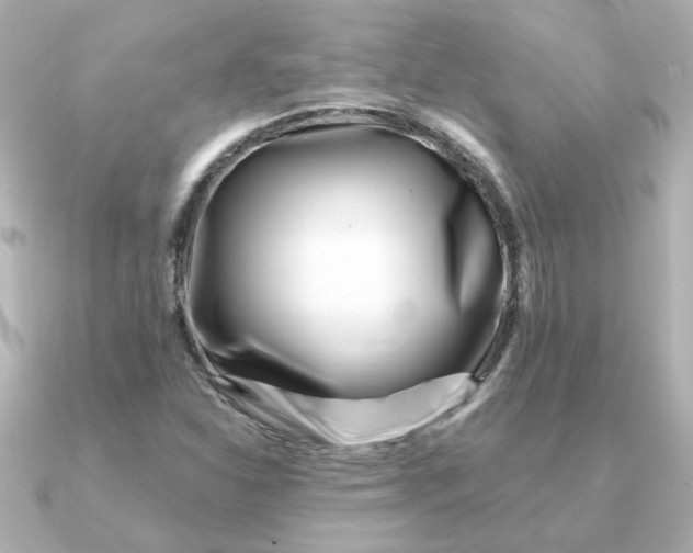 X0000090721310200708101545
