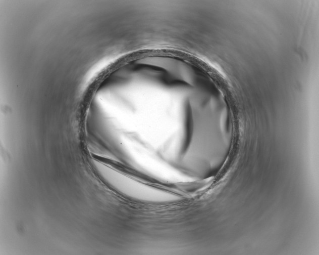 X0000090721311200708101545
