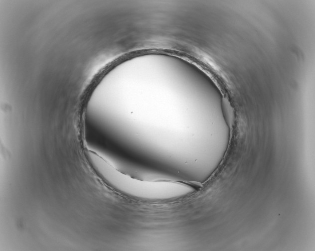 X0000090721312200708101545