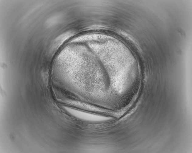 X0000090721313200708101545