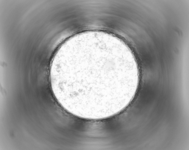 X0000090721314200708101545