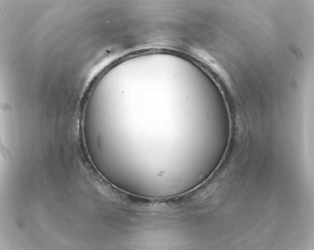 X0000090721316200708101545