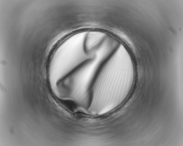 X0000090721318200708101545