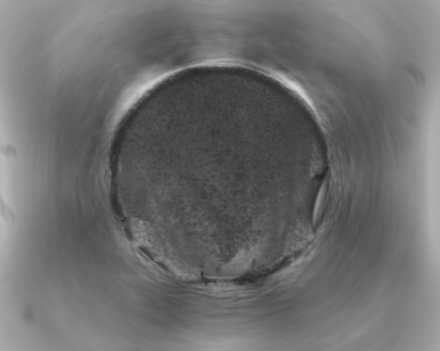 X0000090721319200708101545