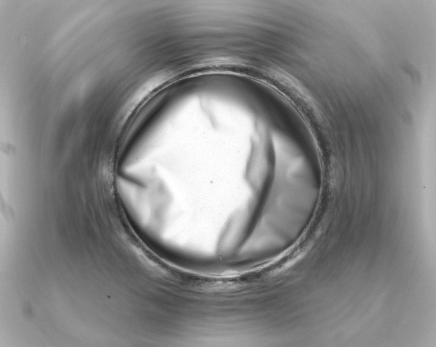 X0000090721321200708101545