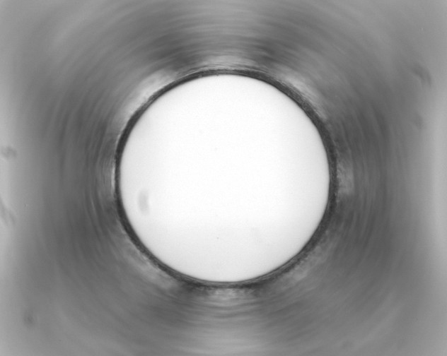 X0000090721322200708101545