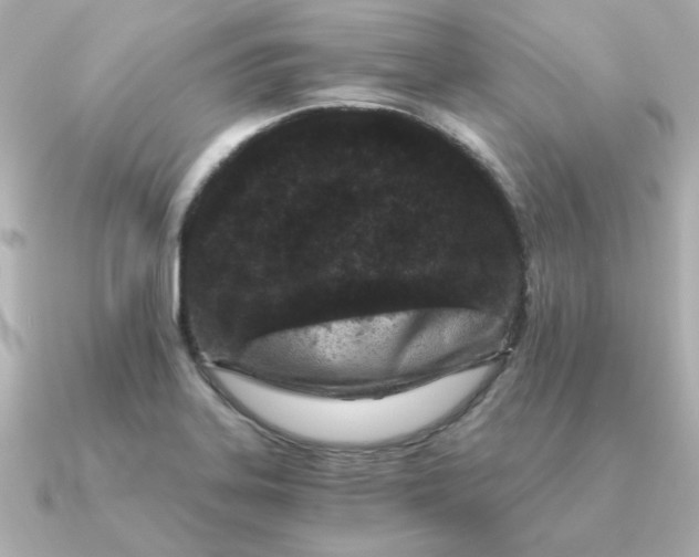 X0000090721323200708101545