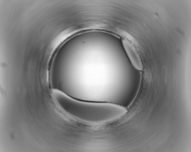 X0000090721324200708101545
