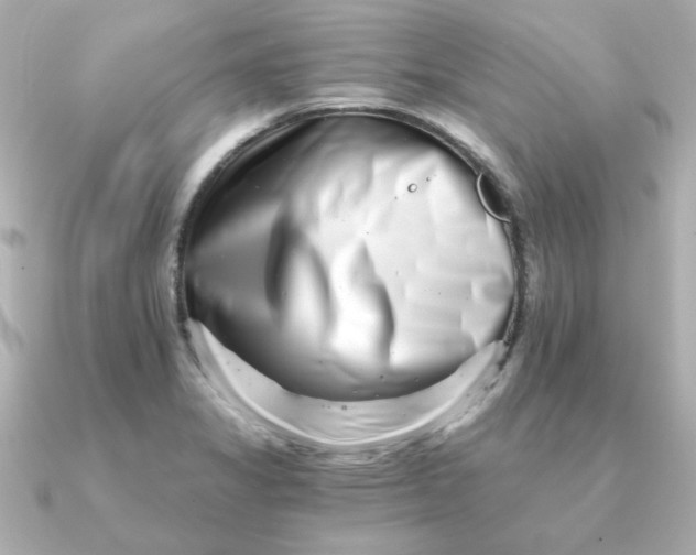 X0000090721325200708101545