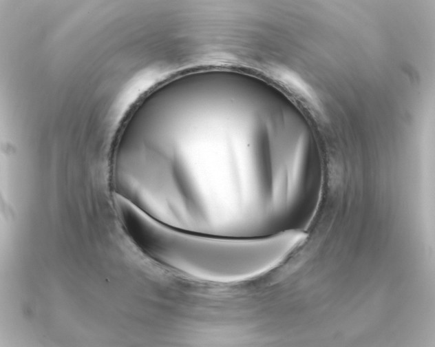 X0000090721326200708101545