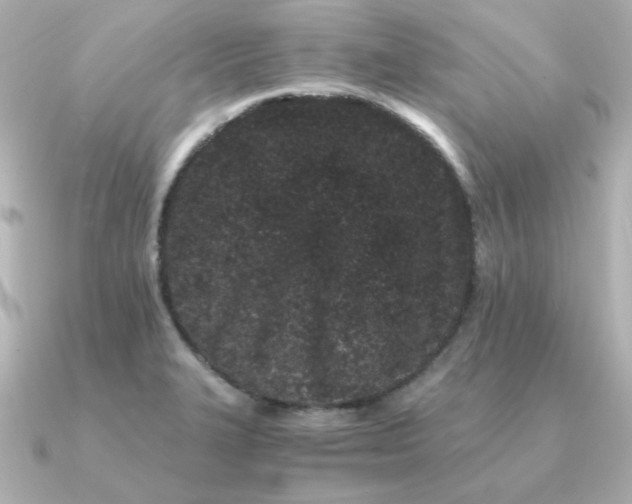 X0000090721327200708101545