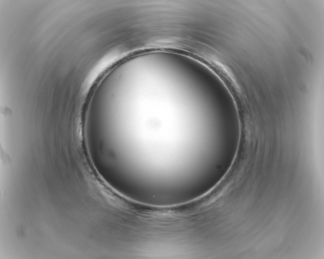 X0000090721328200708101545