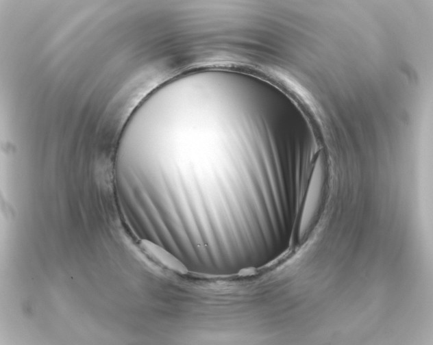 X0000090721329200708101545