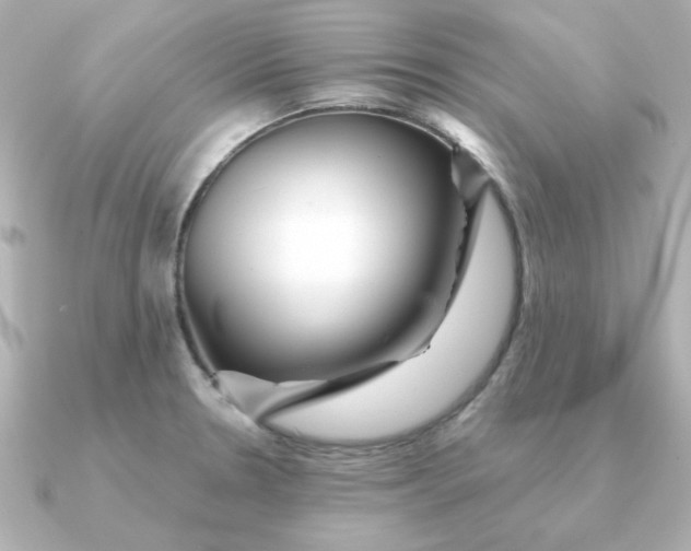 X0000090721330200708101545