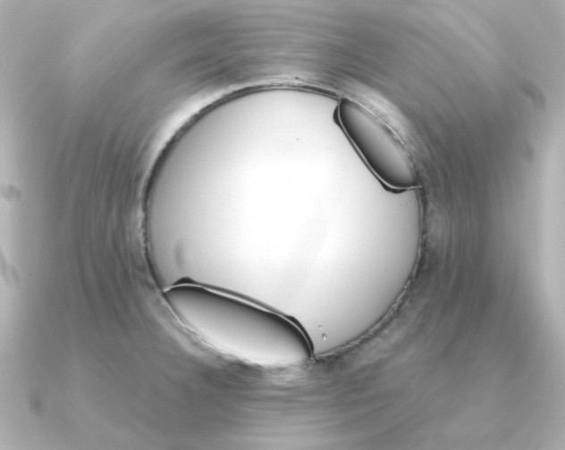 X0000090721332200708101545