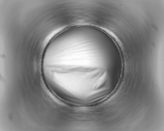 X0000090721333200708101545