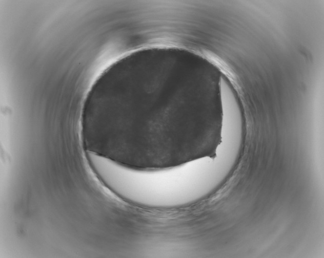 X0000090721334200708101545