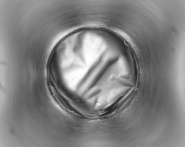 X0000090721335200708101545