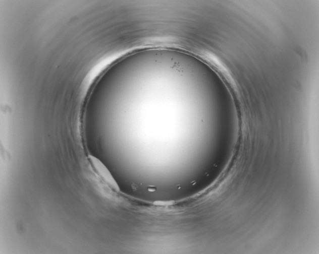 X0000090721336200708101545