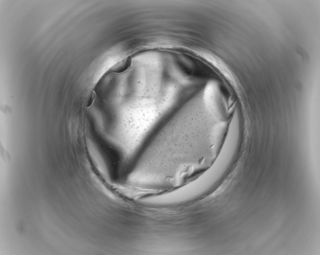 X0000090721337200708101545