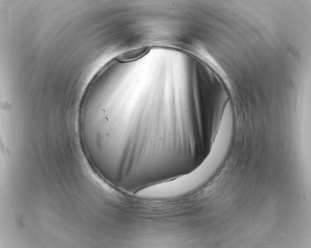 X0000090721339200708101545