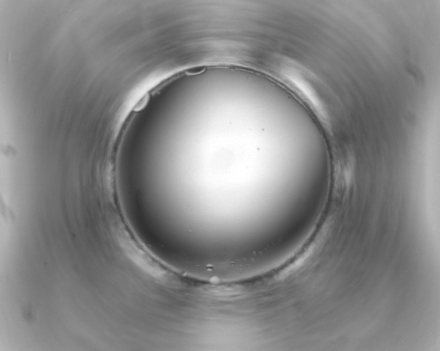 X0000090721340200708101545
