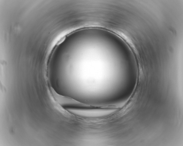 X0000090721342200708101545