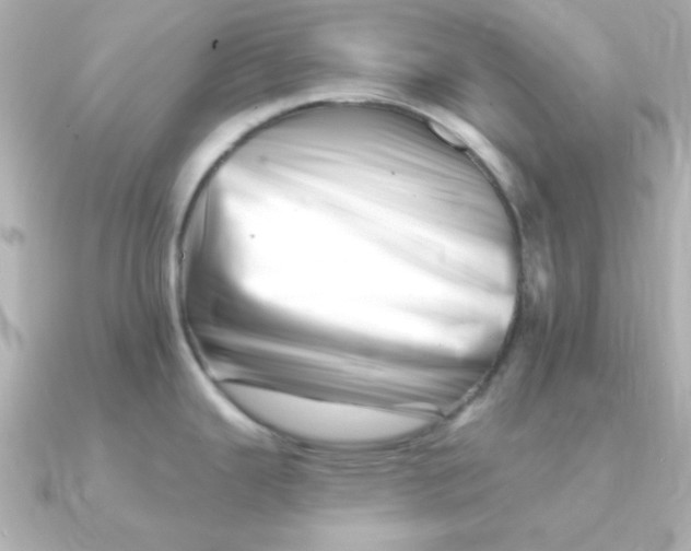 X0000090721343200708101546