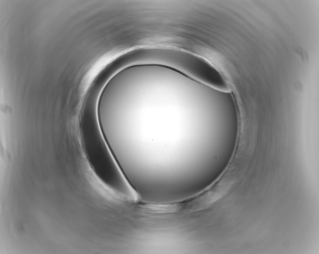 X0000090721344200708101546
