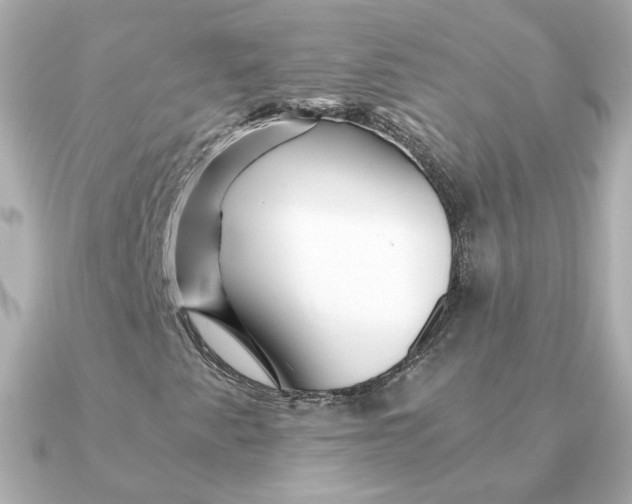 X0000090721345200708101545
