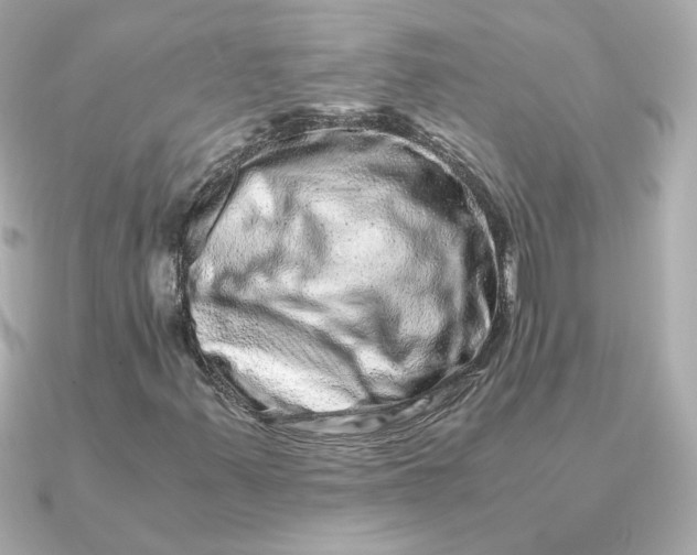 X0000090721347200708101545