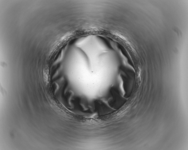 X0000090721348200708101545