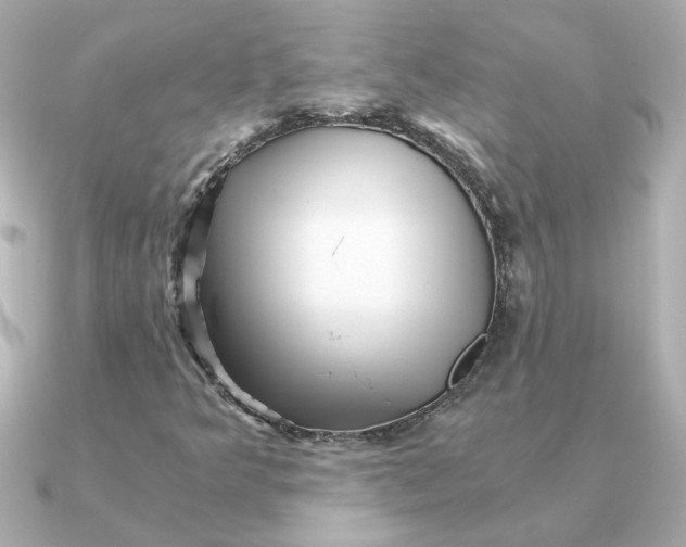 X0000090721349200708101545