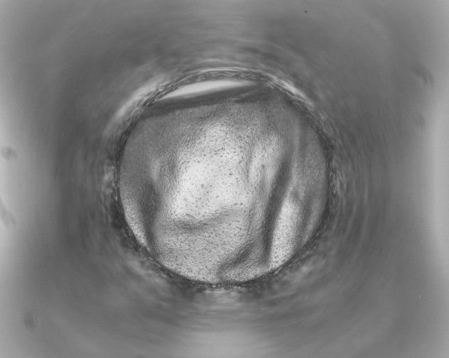 X0000090721351200708101545