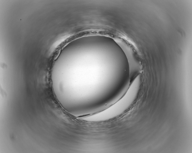 X0000090721352200708101545