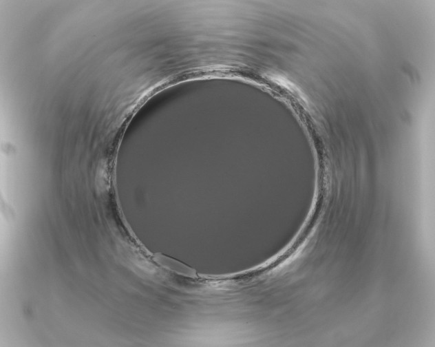 X0000090721353200708101545