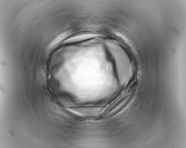 X0000090721354200708101545