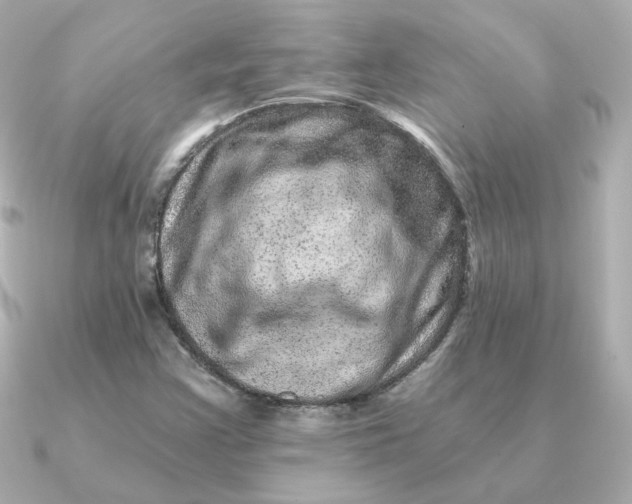 X0000090721355200708101545