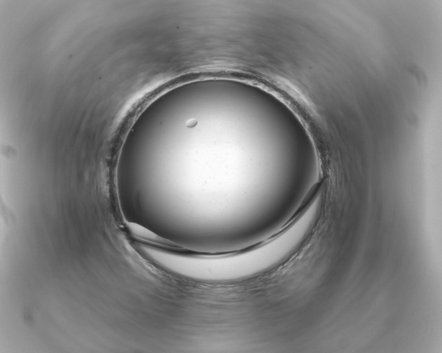 X0000090721356200708101545