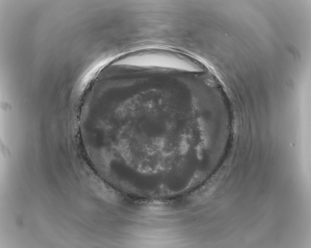 X0000090721359200708101545