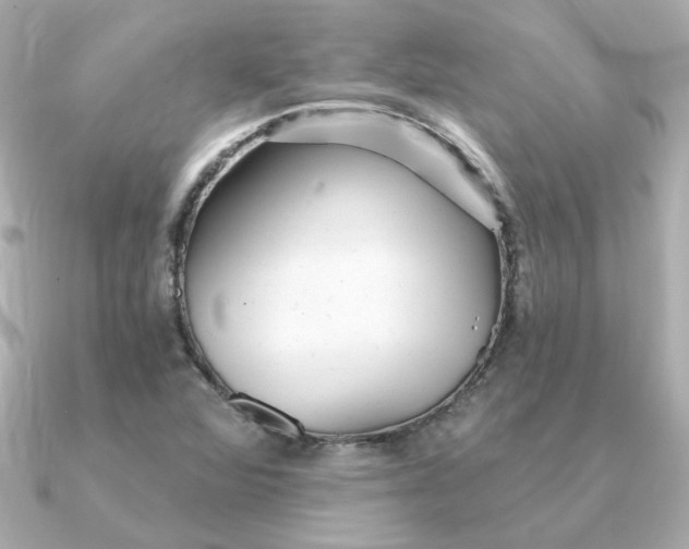 X0000090721360200708101545