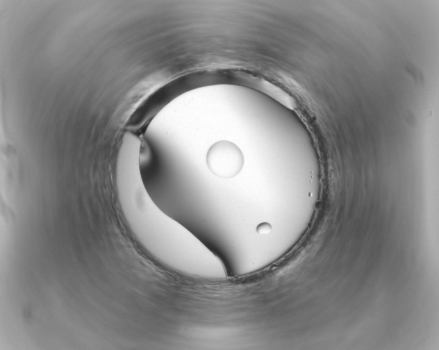X0000090721361200708101545